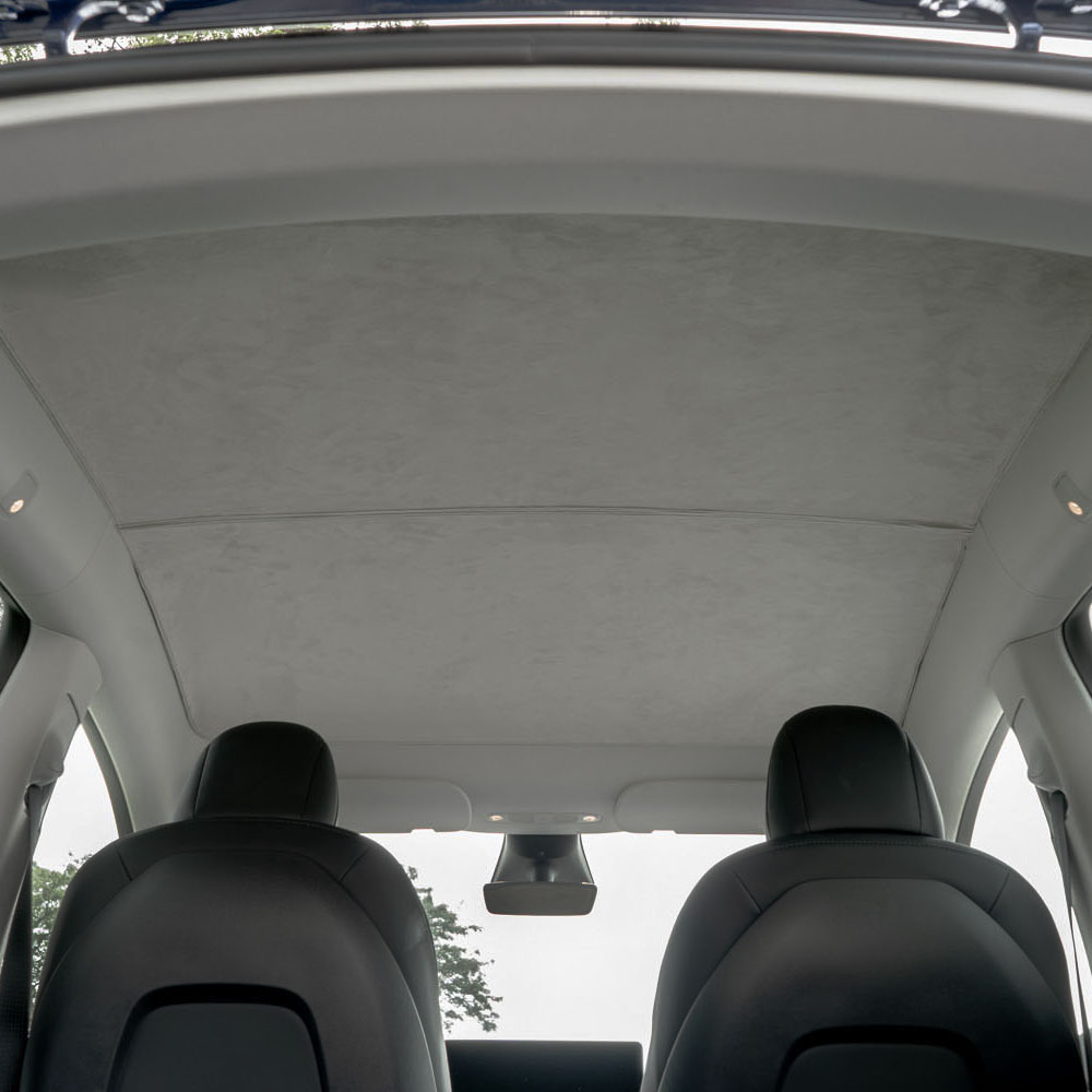 Model Y Roof Screen